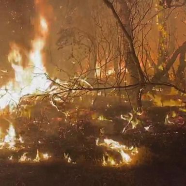 VIDEO: No end in sight to unprecedented wildfires Australia