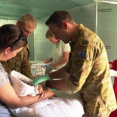 VIDEO: Volunteers stepping up to save Australia’s wildlife amid fires 