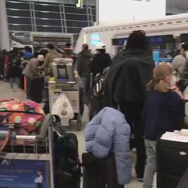 VIDEO: More than 400 Americans evacuated from Wuhan