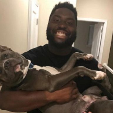 VIDEO: Chiefs' player pays adoption fees for more than 100 dogs