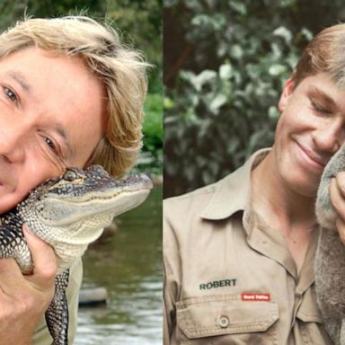 VIDEO: Steve Irwin's son looks just like his famous dad