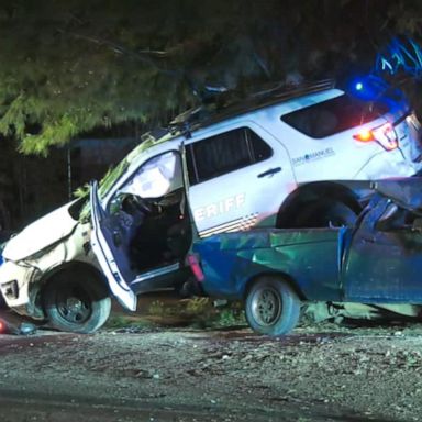 VIDEO: California police chase goes airborne