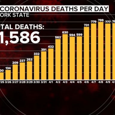 VIDEO: Death toll rises as New York flattens COVID-19 curve