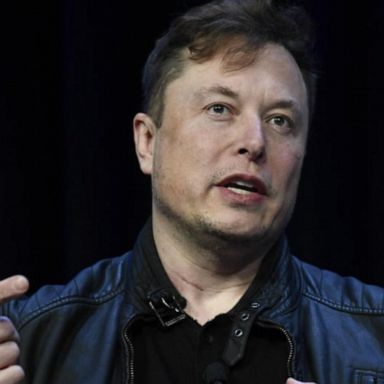 VIDEO: Elon Musk lashes out on Twitter about coronavirus restrictions