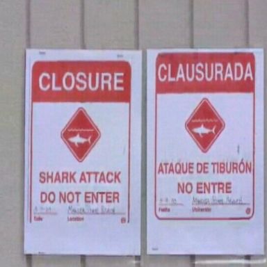 VIDEO: Deadly shark attack reported in California