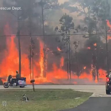 VIDEO: Wildfire forces mandatory evacuations in Florida