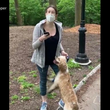 VIDEO: White woman fired after calling 911 on a black man in Central Park