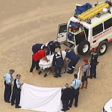 VIDEO: Surfer killed by shark off coast of New South Wales