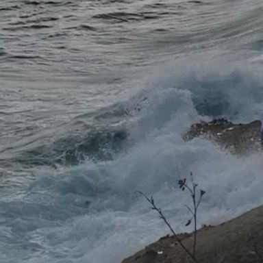 VIDEO: California couple washed into the ocean while taking wedding photos