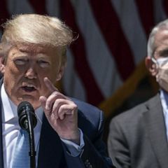Trump says he gets along with Fauci, but White House indicates otherwise