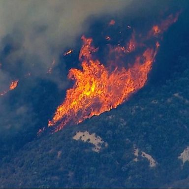 VIDEO: Firefighters battling dozens of raging wildfires out west 