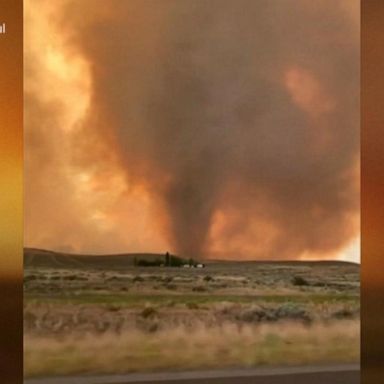 VIDEO: California wildfire spawns fire tornado amid heat wave 