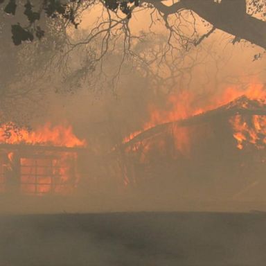 VIDEO: More than 500 wildfires raging in California, 6 dead