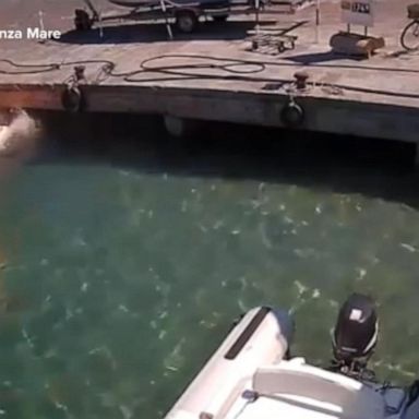 VIDEO: Shocking footage shows moment boat explodes in marina