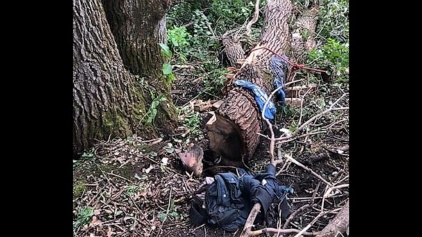 Video Man Rescued After Being Pinned Under Tree For Days Abc News