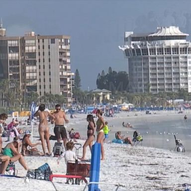 VIDEO: Labor Day weekend could be make-or-break moment in fight against COVID-19