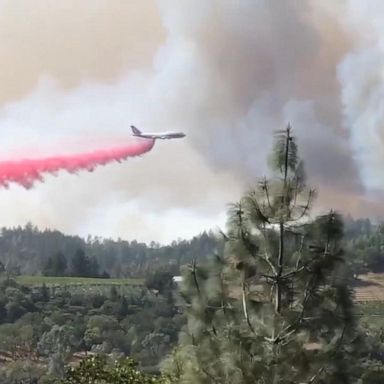 VIDEO: Fast-moving wildfire races across Napa, California