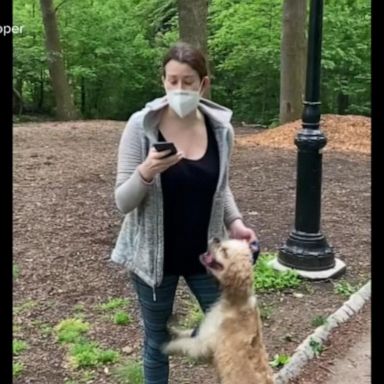 VIDEO: New details in case of white woman who confronted Central Park bird-watcher