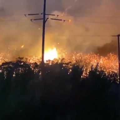 VIDEO: More than 24 wildfires burning in the West 