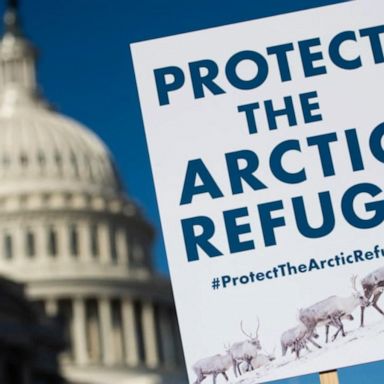 VIDEO: Trump administration takes steps to auction drilling rights in the Arctic