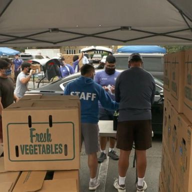 VIDEO: Millions of Americans line up at food banks before Thanksgiving