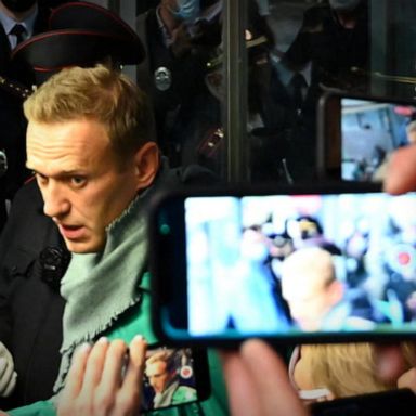 VIDEO: Alexei Navalny detained after landing in Moscow