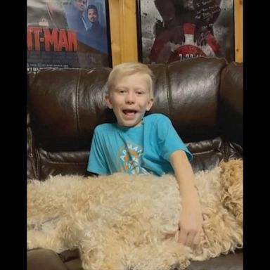 VIDEO: Hero 6-year-old boy bitten by dog shares update