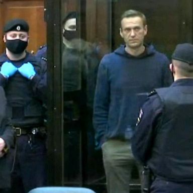 VIDEO: Russian opposition leader Alexey Navalny sentenced to prison 