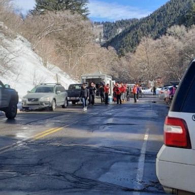 VIDEO: Urgent search and rescue underway for avalanche victims