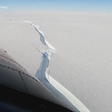 VIDEO: Massive iceberg breaks loose in Antarctica