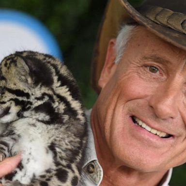 VIDEO: Celebrity zookeeper Jack Hanna diagnosed with dementia