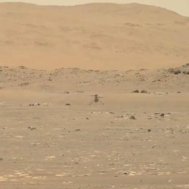 VIDEO: ‘Perseverance’ rover captures historic flight on Mars