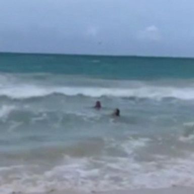 VIDEO: Shark scare for 6-year-old girl in Hawaii