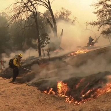 VIDEO: Devastating wildfires rage across the West