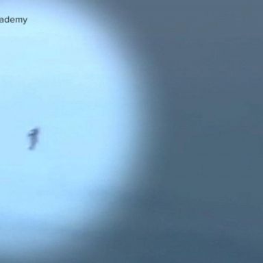 VIDEO: Pilot reports seeing a ‘jetpack man’ near Los Angeles airport