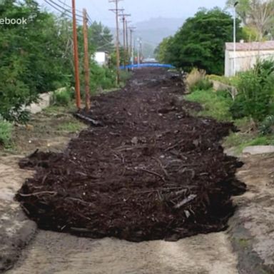 VIDEO: Millions on alert for flash flooding on West Coast