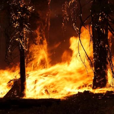 VIDEO: Wildfire becomes 3rd largest in California history