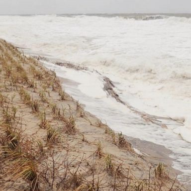 VIDEO: Study warns of ocean currents that could rapidly freeze