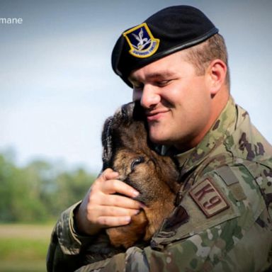 VIDEO: Air Force staff sergeant reunites with military dog