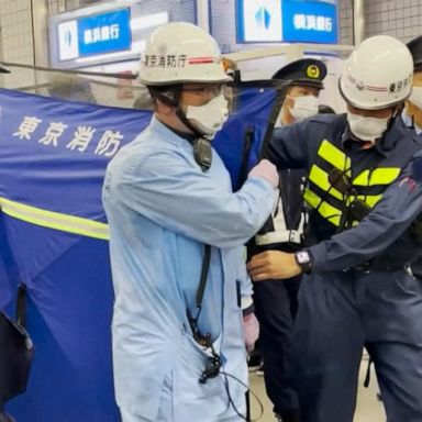 VIDEO: 10 wounded during knife attack on Tokyo commuter train