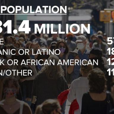 VIDEO: US Census reveals changes in population, diversity