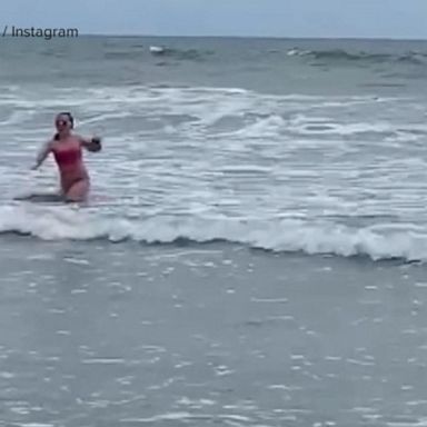 VIDEO: Shark scares girl in South Carolina