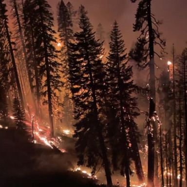 VIDEO: Fast-moving Caldor Fire headed toward Lake Tahoe