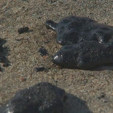 VIDEO: Crews work to contain major oil spill in California