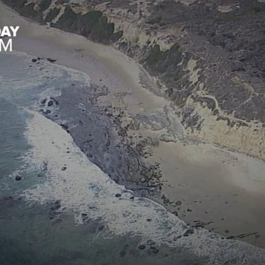 VIDEO: California governor declares state of emergency to clean oil spill