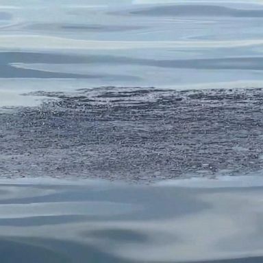 VIDEO: Coast Guard calls California oil spill ‘major marine casualty’