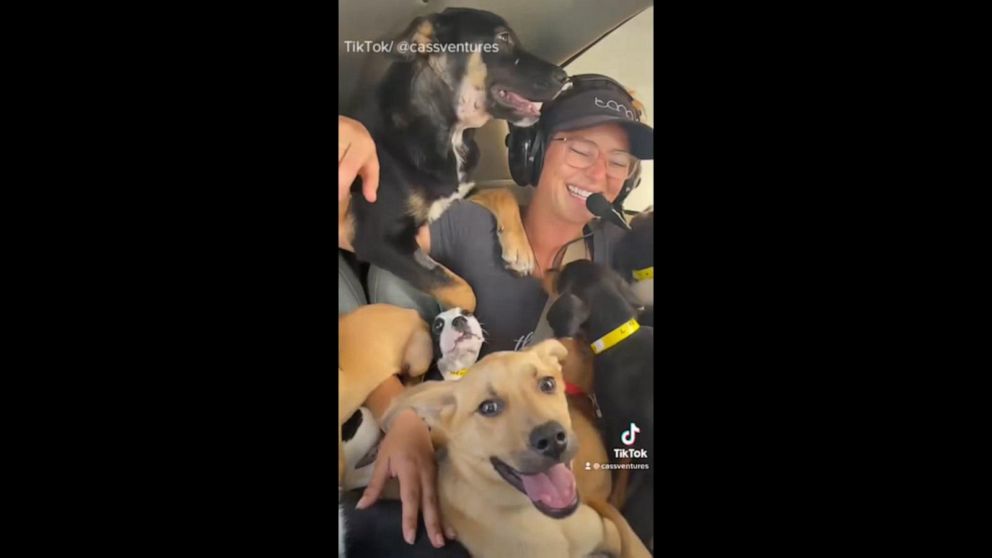 VIDEO: Woman fights to save dogs from being euthanized