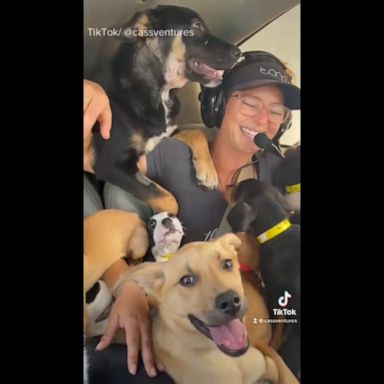 VIDEO: Woman fights to save dogs from being euthanized