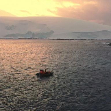 VIDEO: Natural beauty of Antarctica disappearing due to climate change