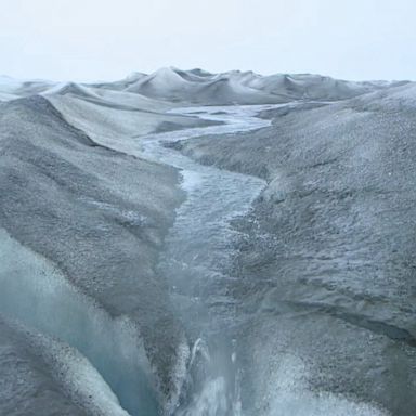 VIDEO: Greenland's rapid ice melt contributing to rising sea levels, scientists say